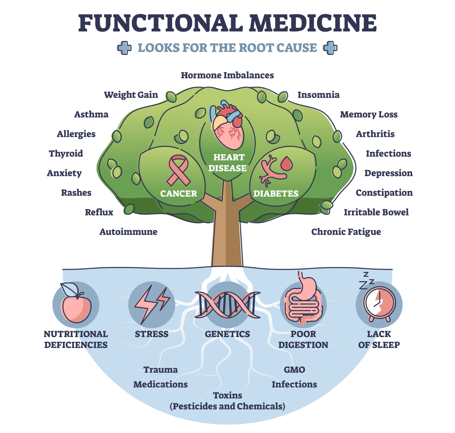 Functional health and wellness root cause diagram