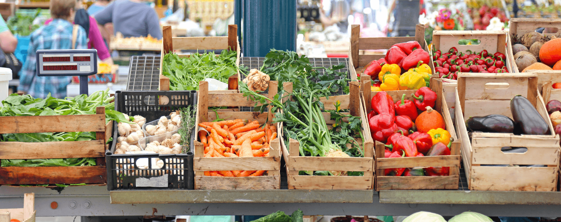 Sustainable diets starts with adopting sustainable nutrition by shopping at farmers' markets